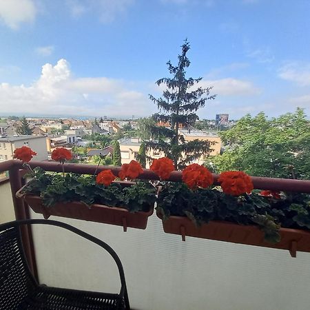 Apartman Lienka Free Parking City Centre Trenčín المظهر الخارجي الصورة