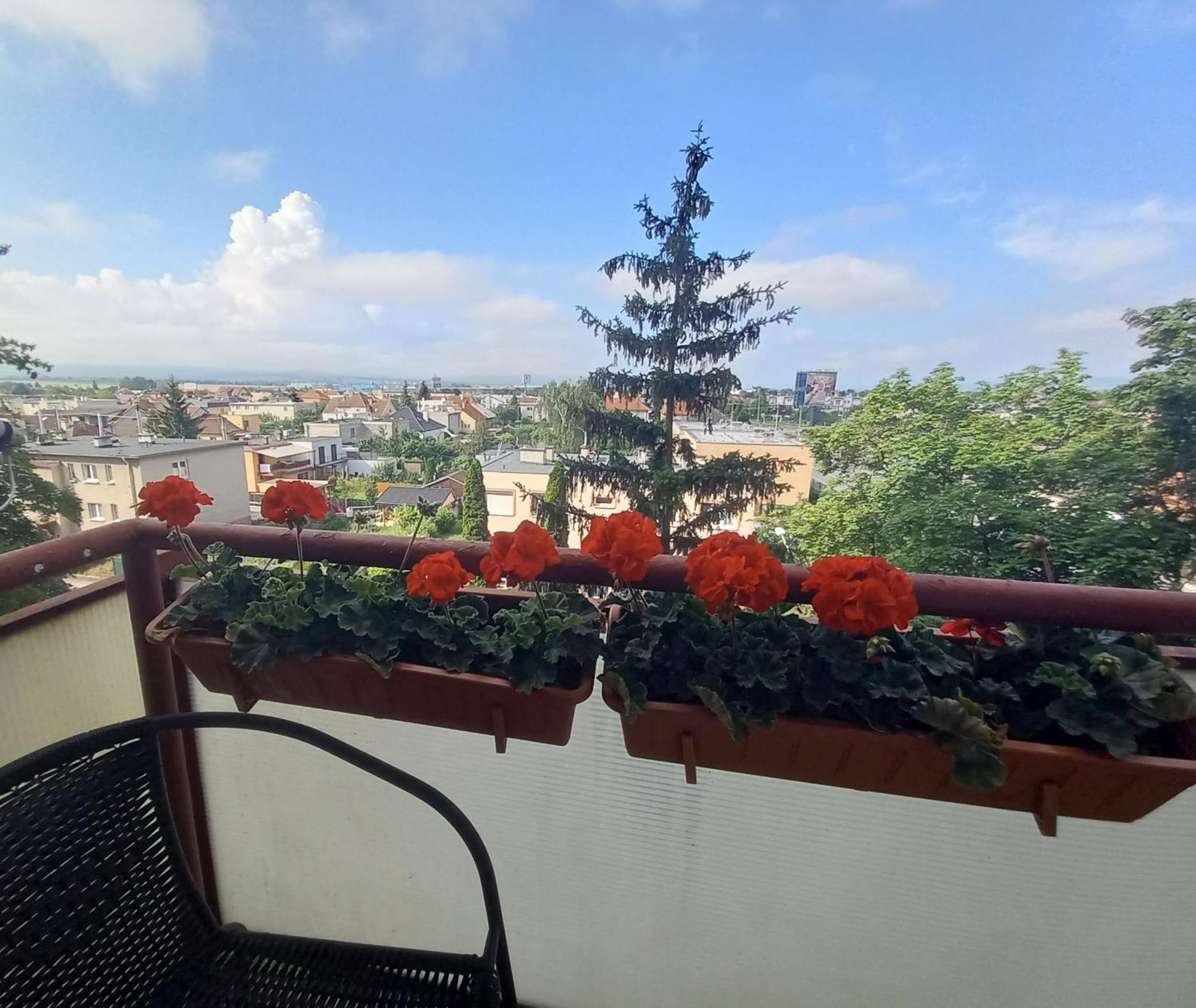 Apartman Lienka Free Parking City Centre Trenčín المظهر الخارجي الصورة